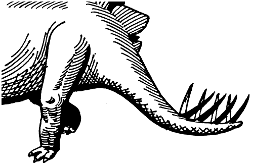 A Stegasaurus' tail.